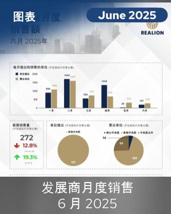 Monthly Developer Sales June 2025 Mandarin